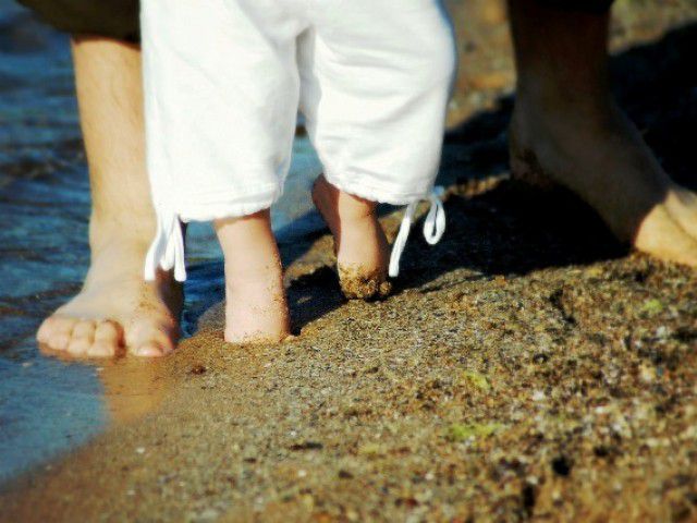 Best essay help review