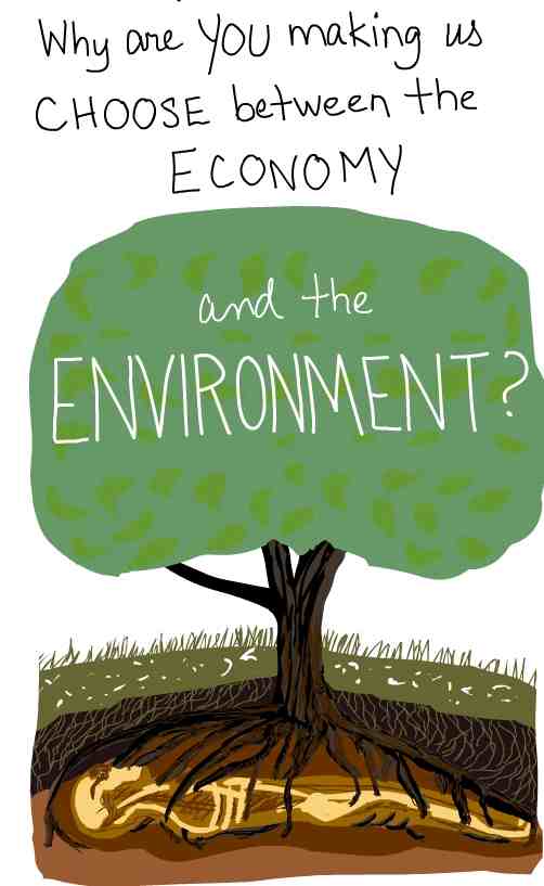 Essay of environment