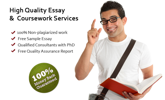 Essay online writer