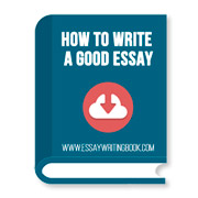 Essay writing book