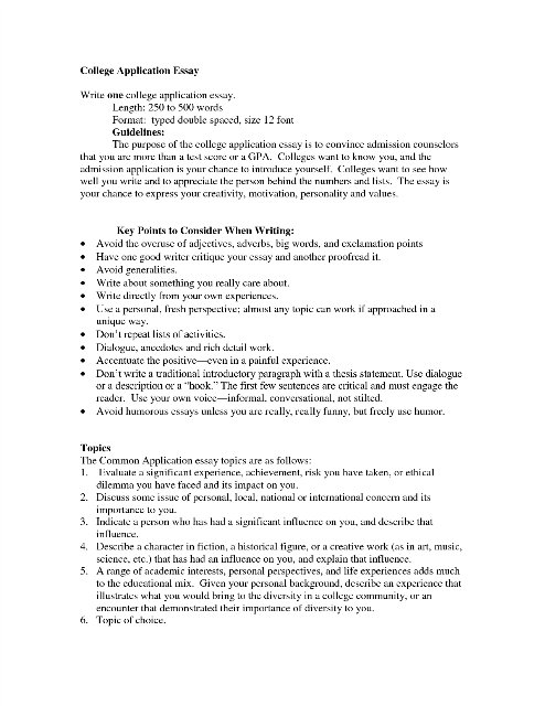 Professional paper writer