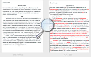 Proofread essays online