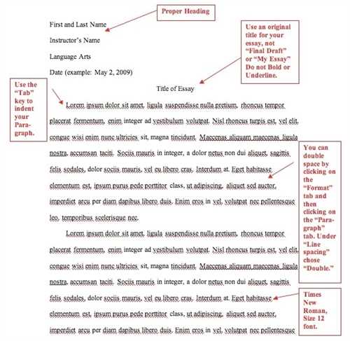 What's the best custom essay website