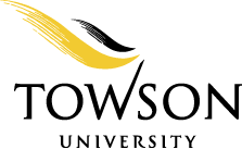 Towson online writing