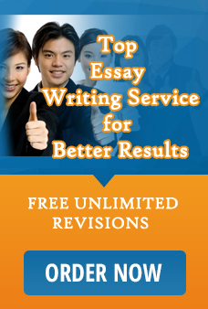 Us essay writing service
