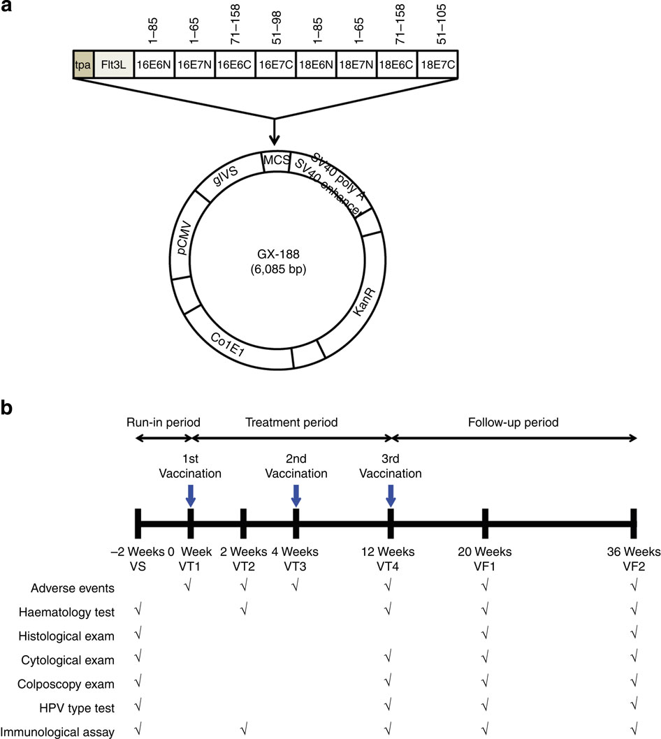 Who can write my essay
